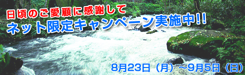�l�b�g����L�����y�[��